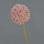 Künstliche Blume Allium BAILIN, rosa-grün, 65cm, Ø10cm