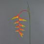 Dekoblume Heliconia Blüte MEIHUA, orange-gelb-grün, 95cm, Ø30cm