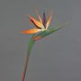 Dekoblume Strelitzie DONGLIN, orange-violett, 85cm, 14x25cm