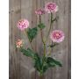 Künstliche Chrysantheme RYON, rosa-grün, 70cm, Ø3-5cm
