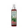 Raumspray NORELLE, Wintertanne