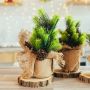 Fragrance Tannenwald - Natürliche Weihnachtsdekoration
