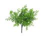 Deko Kraut Eukalyptus TINGYU auf Steckstab, grün, 30cm