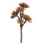 Kunst Echeveria elegans FEIFANG auf Steckstab, rot-grün, 45cm