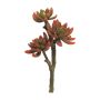 Kunst Echeveria elegans FEIFANG auf Steckstab, rot-grün, 30cm