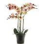 Kunstblume Phalaenopsis Orchidee CHENXU, rosa-creme, 60cm
