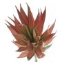 Deko Sukkulente Agave decipiens DEYUNA auf Steckstab, rot, 18cm