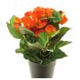Künstliche Blume Begonie HETIAN im Dekotopf, orange, 25cm
