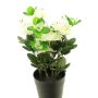 Künstliche Blume Azalee JINGSHU im Dekotopf, creme, 25cm