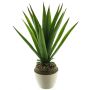 Deko Sukkulente Aloe Vera SHURUI im Keramiktopf, grün, 45cm
