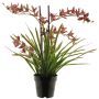 Kunstblume Cymbidum Orchidee XINGUI, dunkelrot, 70cm