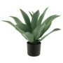 Kunstpflanze Sukkulente Agave americana XINYUN, grün, 40cm
