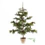Kunst Nordmanntanne JUSTUS, Dekotopf, Zapfen, 135cm, Ø85cm