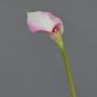 Künstliche Calla MARIOLA, rosa-weiß, 80cm, 8x15cm