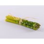 Künstlicher Grüner Spargel Bund ONRIE, 5 Stangen, 23cm, Ø5cm
