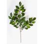 Künstlicher Ficus Benjamini Zweig AJITH, grün, 45cm
