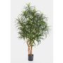 Künstliche Dracaena Reflexa Anita KAYLIN, Naturstämme, grün, 120cm