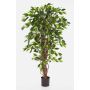 Künstlicher Ficus Benjamini JARLAN, Echtstämme, grün, 150cm