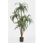 Kunstpflanze Dracaena Fragrans JALA, Echtstämme, grün-weiß, 150cm