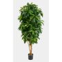 Kunstpflanze Schefflera MADDISON, Naturstämme, grün, 170cm