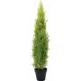 Plastik Zypresse MINNA, im Übertopf, crossdoor, hellgrün, 120cm