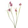 Künstlicher Zweig Schachbrettblume PITARA, pink-weiß, 50cm
