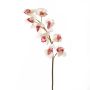 Plastik Zweig Cymbidium Orchidee OKSANA, weiß-pink, 80cm, Ø6,5cm