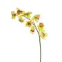Plastik Zweig Cymbidium Orchidee OKSANA, gelb-grün, 80cm, Ø6,5cm