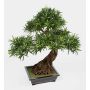 Kunst Bonsai Podocarpus MASAO mit Wurzeln, in Keramikschale, 85cm