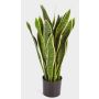 Künstliche Sansevieria BEYZA, grün-gelb, 80cm