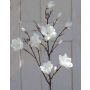 Magnolienzweig künstlich YONA, creme-weiß, 130cm, Ø5-15cm