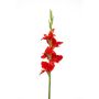 Kunst Gladiole KIVANA, rot, 90cm