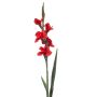 Künstliche Blume Gladiole ANUVA, rot, 90cm