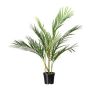 Deko Palme Areca YONNE, 70cm