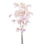 Dekostrauß Lathyrus Bund KIDO, rosa-weiß, 50cm