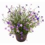 Dekoblume Fleißiges Lieschen GISINDA im Dekotopf, lila, 25cm
