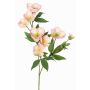 Künstlicher Christrosen Zweig ANYALA, rosa-weiß, 60cm, Ø5-6cm