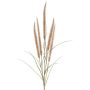 Dekozweig Federborstengras AREVALO mit Rispen, beige, 135cm