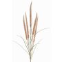 Dekozweig Federborstengras AREVALO mit Rispen, beige, 135cm