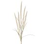 Dekozweig Federborstengras AREVALO mit Rispen, creme, 135cm