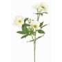 Künstlicher Christrosen Zweig ANYALA, creme-weiß, 60cm, Ø5-6cm