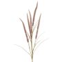 Dekozweig Federborstengras AREVALO mit Rispen, mauve, 135cm