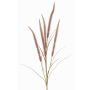 Dekozweig Federborstengras AREVALO mit Rispen, mauve, 135cm