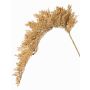 Künstlicher Sorghumhirse Zweig BOTTO mit Ähren, beige, 95cm