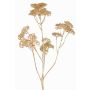 Schafgarbe Deko Zweig ORTEGA, gold, 75cm, Ø7-13cm
