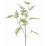 Deko Asparagus plumosus Zweig UHERA, grün, 140cm