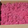 Echtes Isländisches Moos SVEINBJÖRN, pink, 2,7kg