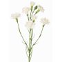 Kunstblumenzweig Nelke PIARA, weiß, 60cm, Ø3-5cm