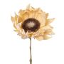 Künstliche Sonnenblume CRUFT, Trockenoptik, creme, 60cm