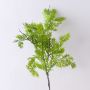 Deko Zweig Thuja BIRLAF, grün-gelb, 60cm